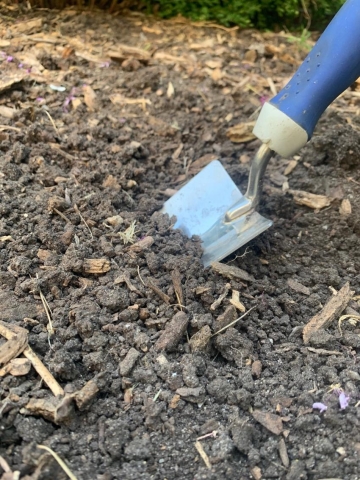 Shovel in dirt.