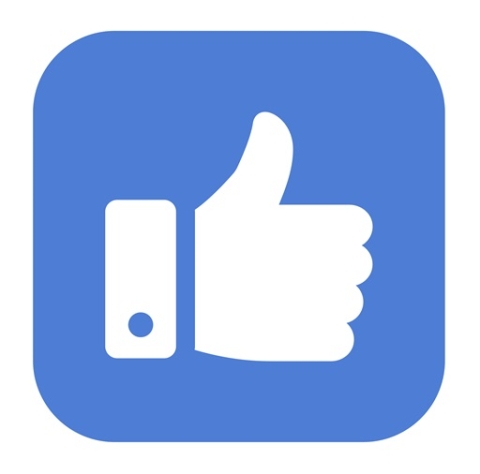 Facebook "thumbs up" icon.