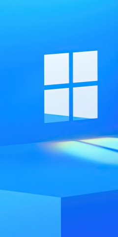 Microsoft Windows Logo