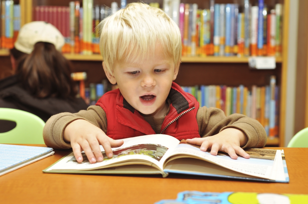 Young boy reading picture book