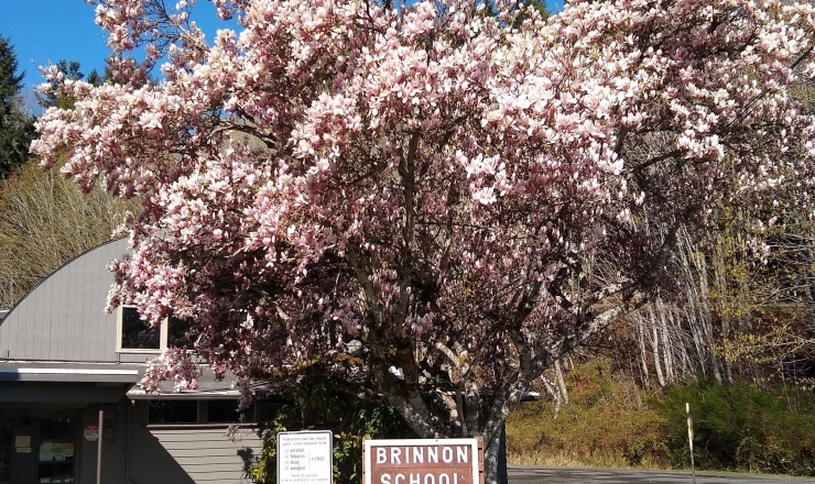 Brinnon School District building exterior